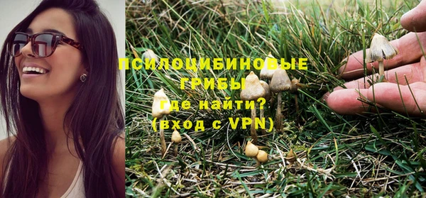 сатива Баксан