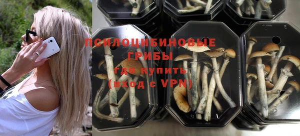 сатива Баксан