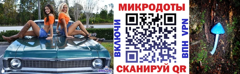 Псилоцибиновые грибы Psilocybine cubensis  Купить  Богучар 